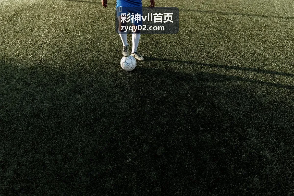 彩神vll首页会员专属回馈权益说明