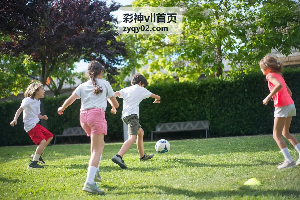 彩神vll首页会员服务支持与常见问题